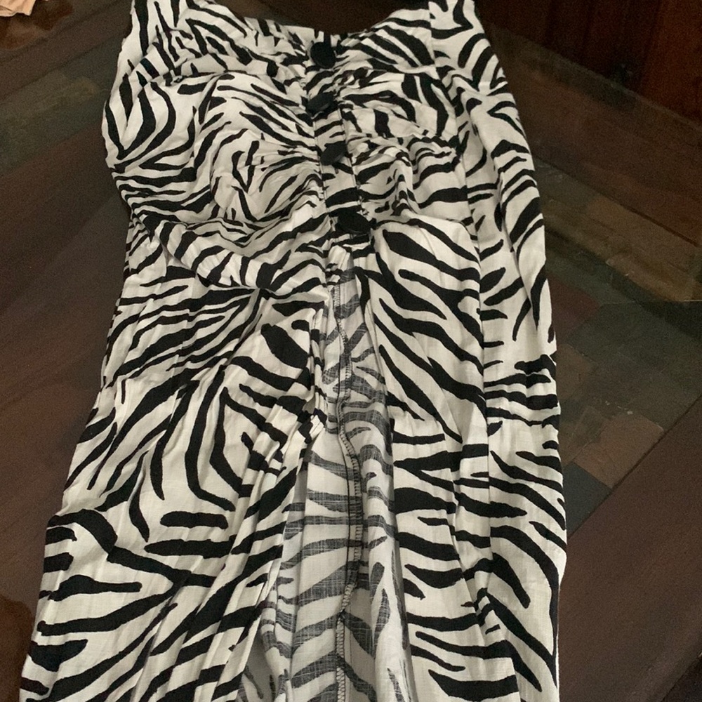 Zara zebra skirt